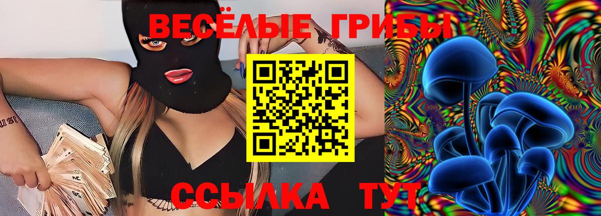 Усинск  Галлюциногенные грибы мицелий  Псилоцибиновые грибы ЛСД  Вход с VPN 